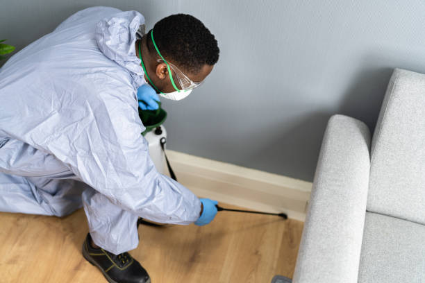 Best Pest Exclusion Services  in Brookhaven, WV